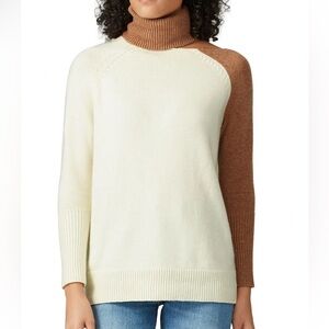 Colorblock Turtleneck